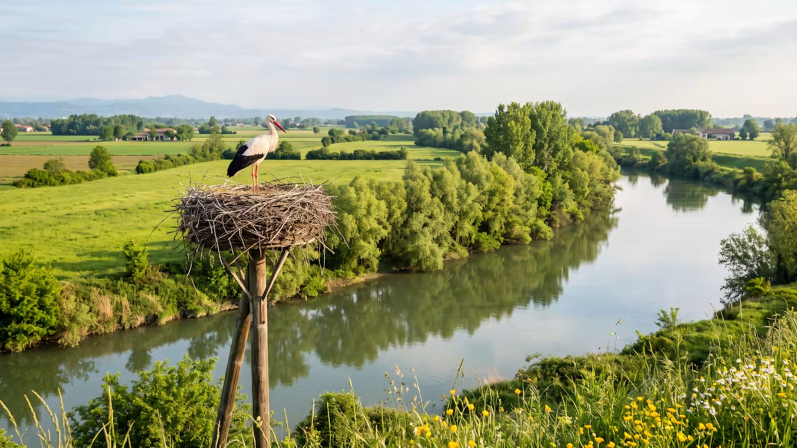 Primavera ed estate sull'Adda: natura, cicogne e picnic a un'ora da Milano